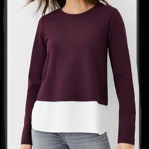 Ann Taylor XS Crewneck Plum and White Blouse NWT Soft & Comfortable